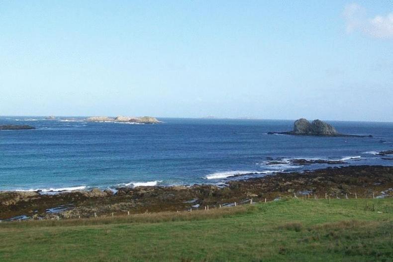 The Seaview Tavern Ballygorman Exteriér fotografie